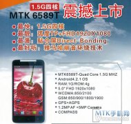 5.0英寸MTK6589T四核 PCTV蝴蝶上市